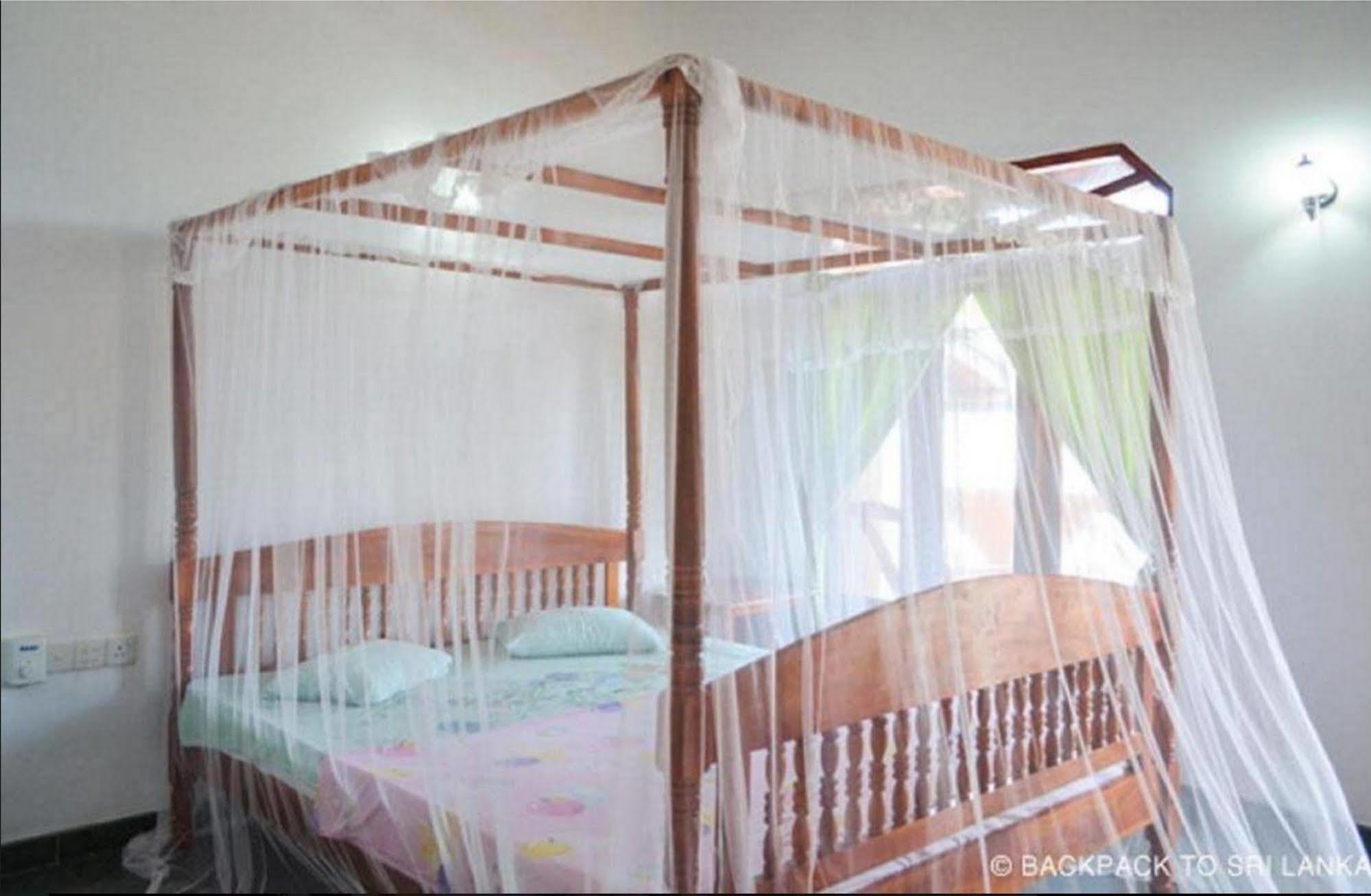 טנגלה Coppenrath Hostel מראה חיצוני תמונה