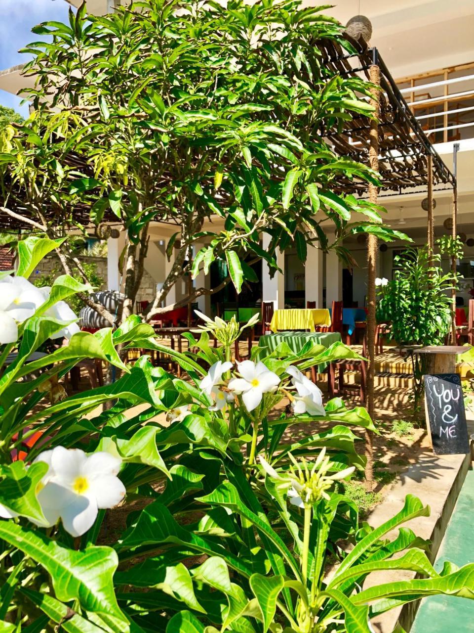 טנגלה Coppenrath Hostel מראה חיצוני תמונה