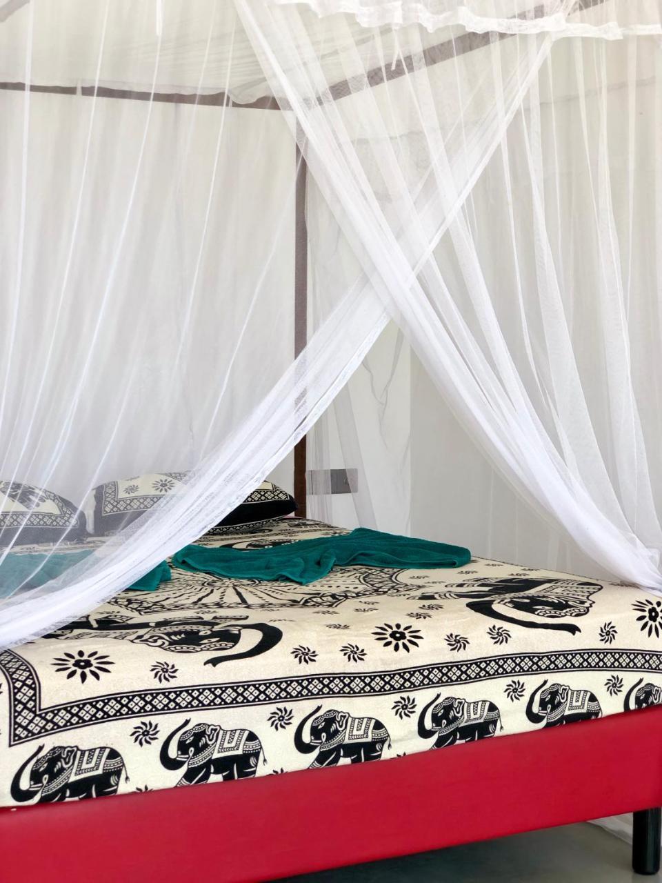 טנגלה Coppenrath Hostel מראה חיצוני תמונה
